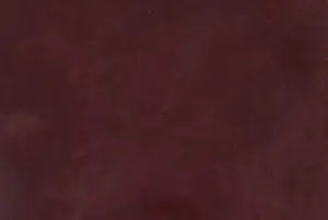 Alden shell cordovan