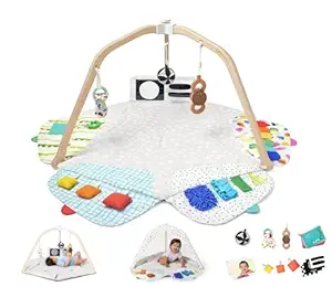 Lovevery play gym